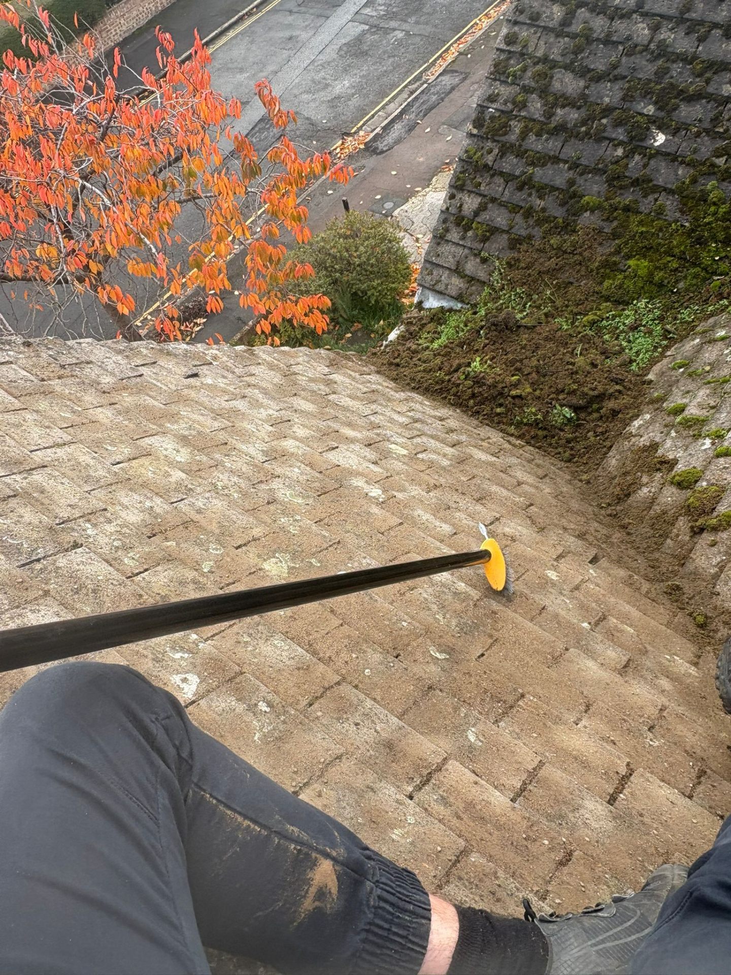 Moss-covered roof tiles being cleaned with professional equipment
